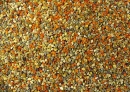 bee-pollen-1-w