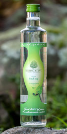 birch-sap