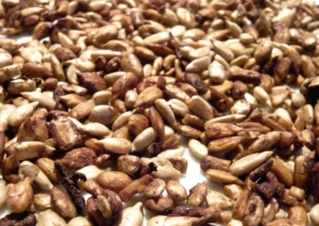 tamari-sunflower-seeds